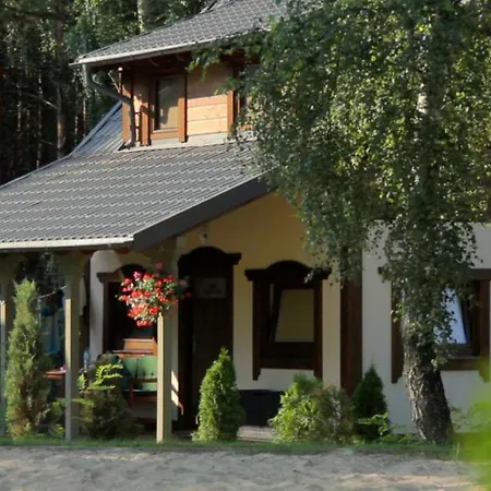 Niedzwiadek