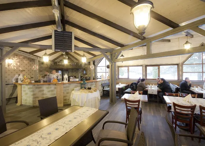 Niedźwiadek Hotel Wdzydze Kiszewskie