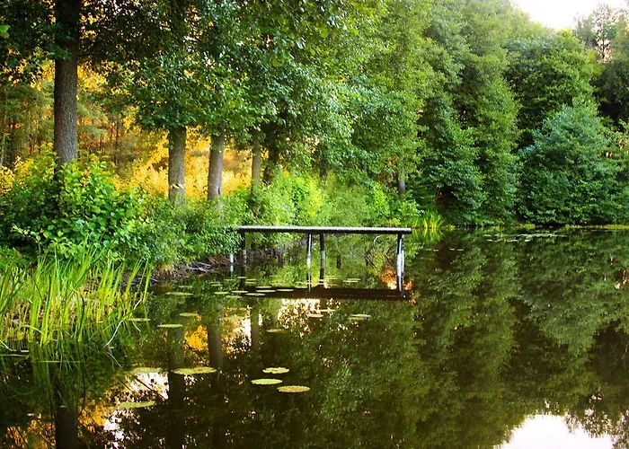 Niedźwiadek Wdzydze Kiszewskie